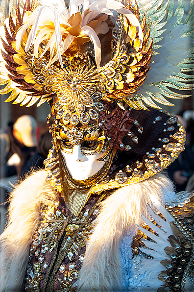 foto Carnevale di Venezia